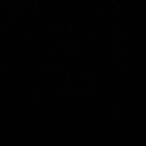 Meet your Posher, Allan